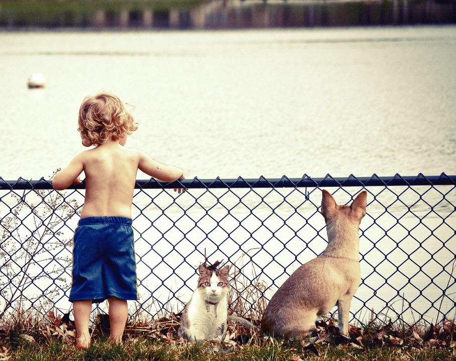 kid