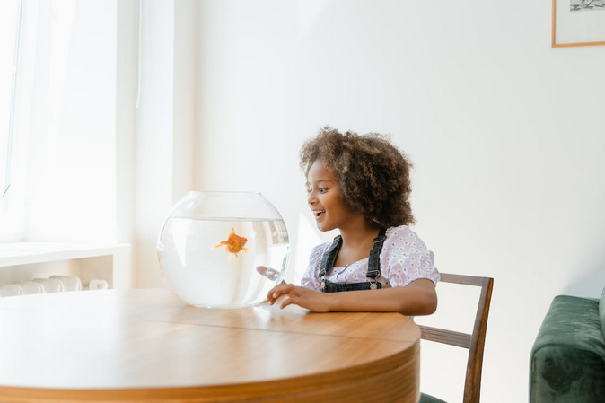 Four Ways to Optimize Your Fish Tank Filter Setup